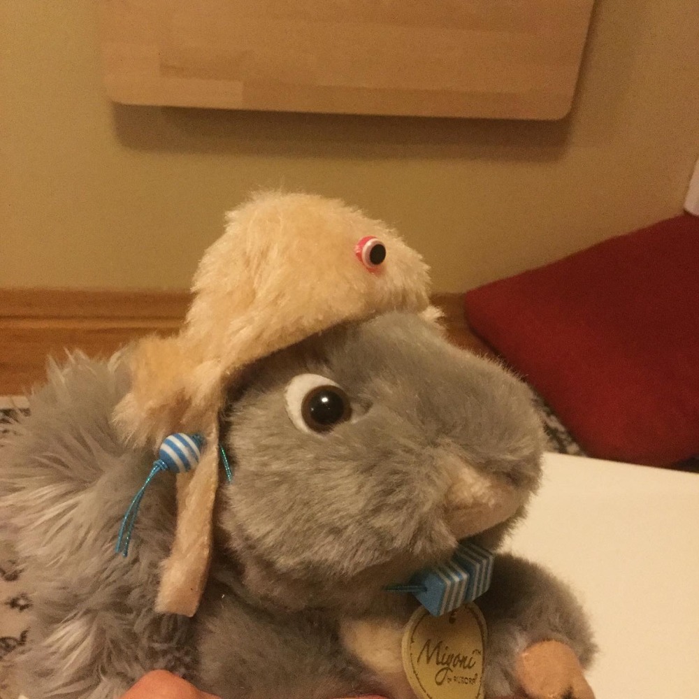 Meet your Posher, Meda